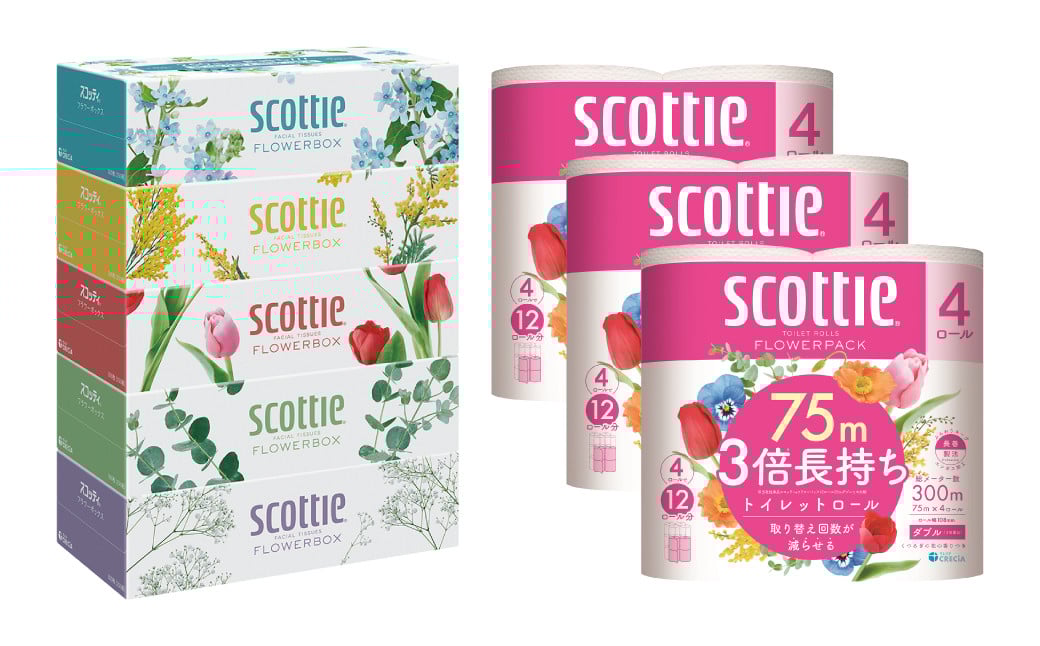「長持ち」＆「コンパクト」になったスコッティ製品をセットにしてお届け！