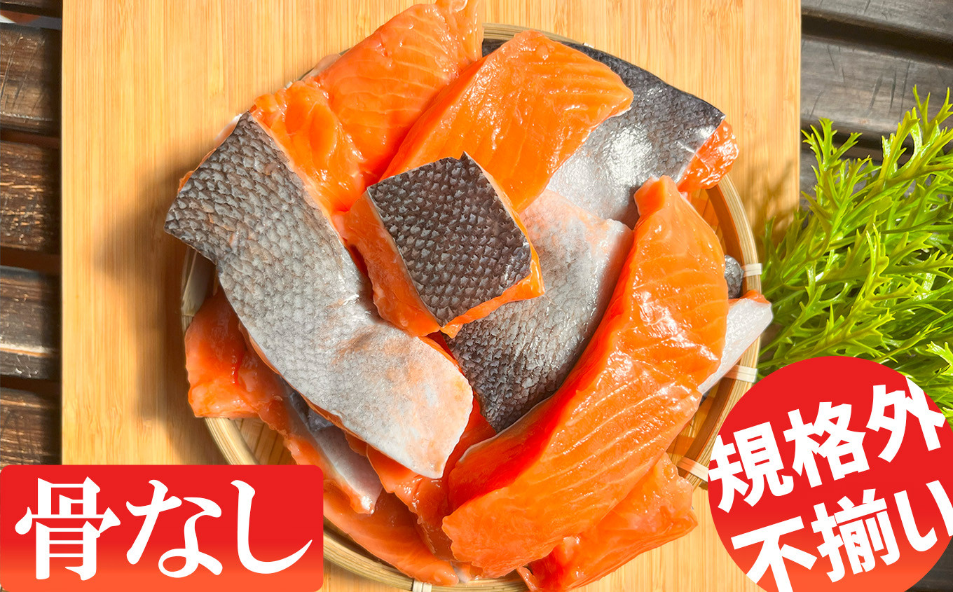 訳あり 銀鮭 切り落とし