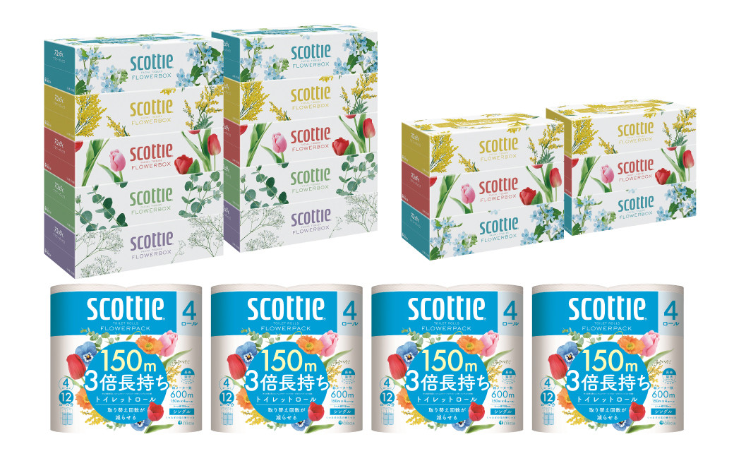 「長持ち」&「コンパクト」になったスコッティ製品をセットにしてお届け!