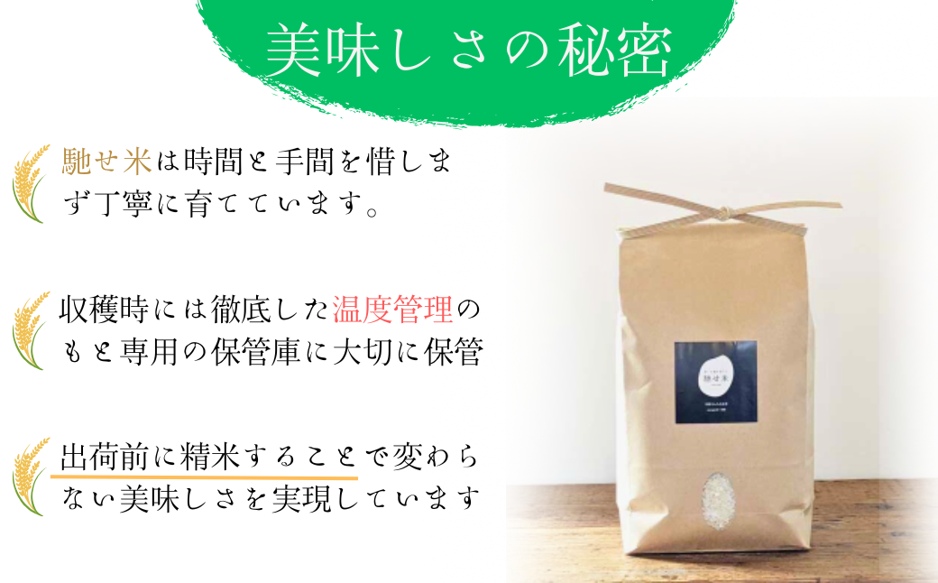 米 【令和7年産新米】石田さんのお米 馳せ米 30kg 米 コメ こめ 精米 セイマイ せいまい 石田さんのお米 おコメ 馳せ米