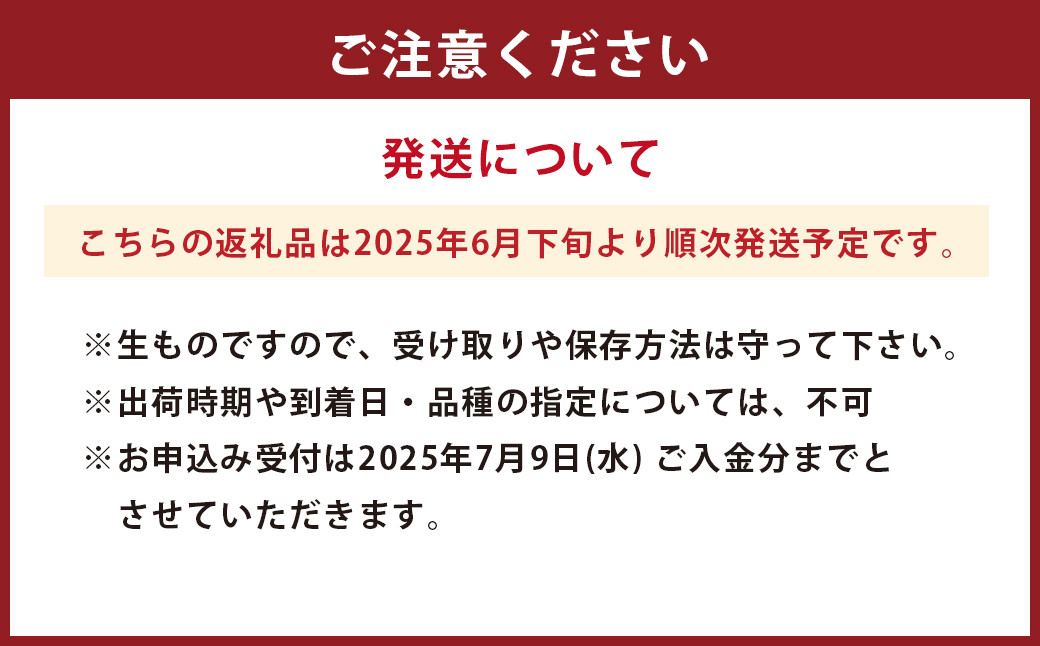 桃 約2kg（5～8玉）