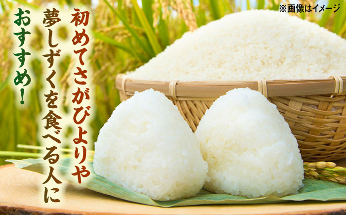 【特A評価獲得】武雄産米 2種お試し食べ比べセット さがびより・夢しずく 2合(300g)×2袋 白米 米 お米