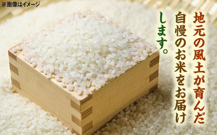 【15年連続特A評価】武雄市産 さがびより 5kg /株式会社 y's company（utsu和ya） [UDX016]