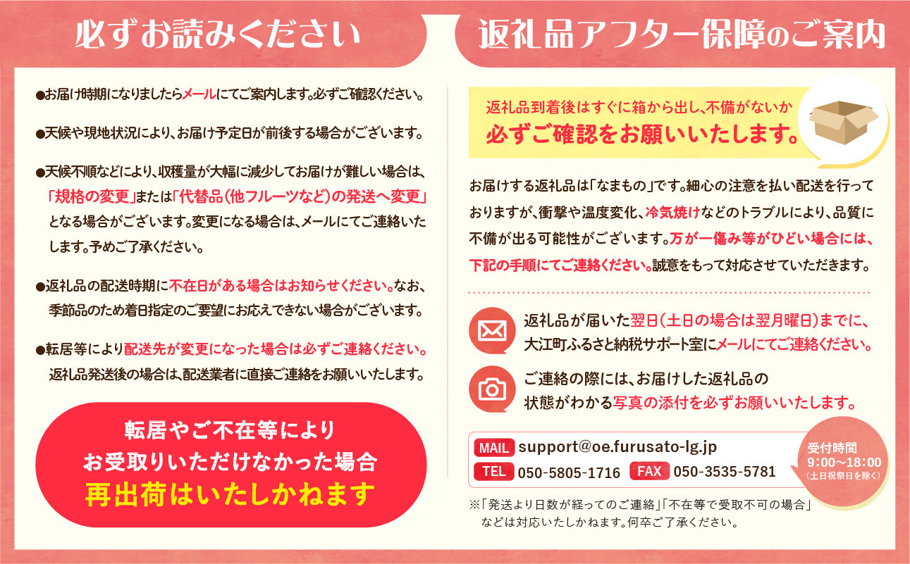 《先行受付》特別栽培 贈答規格サンふじ約5kg 【2026年12月中旬頃～発送予定】