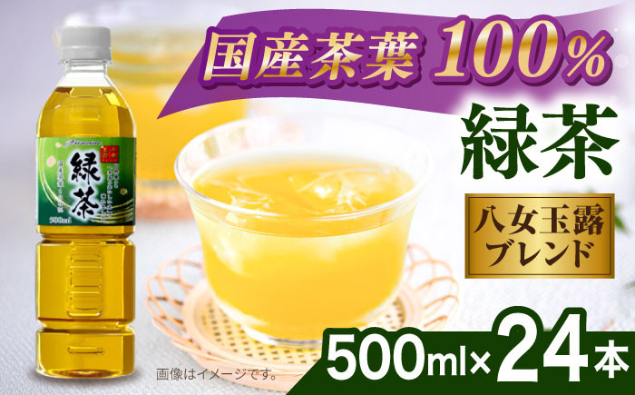 緑茶 ペットボトル 500ml × 24本