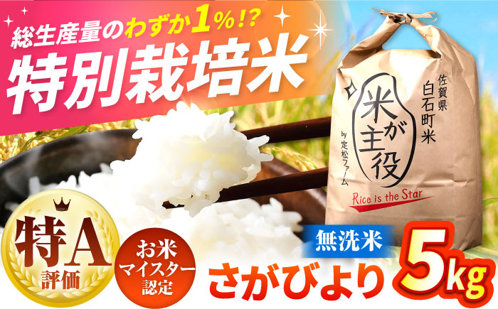 こだわりの特別栽培米！ 無洗米 さがびより 5kg 【定松ファーム】佐賀県産 特A 特A評価 白米 無洗米 コメ こめ お米 米