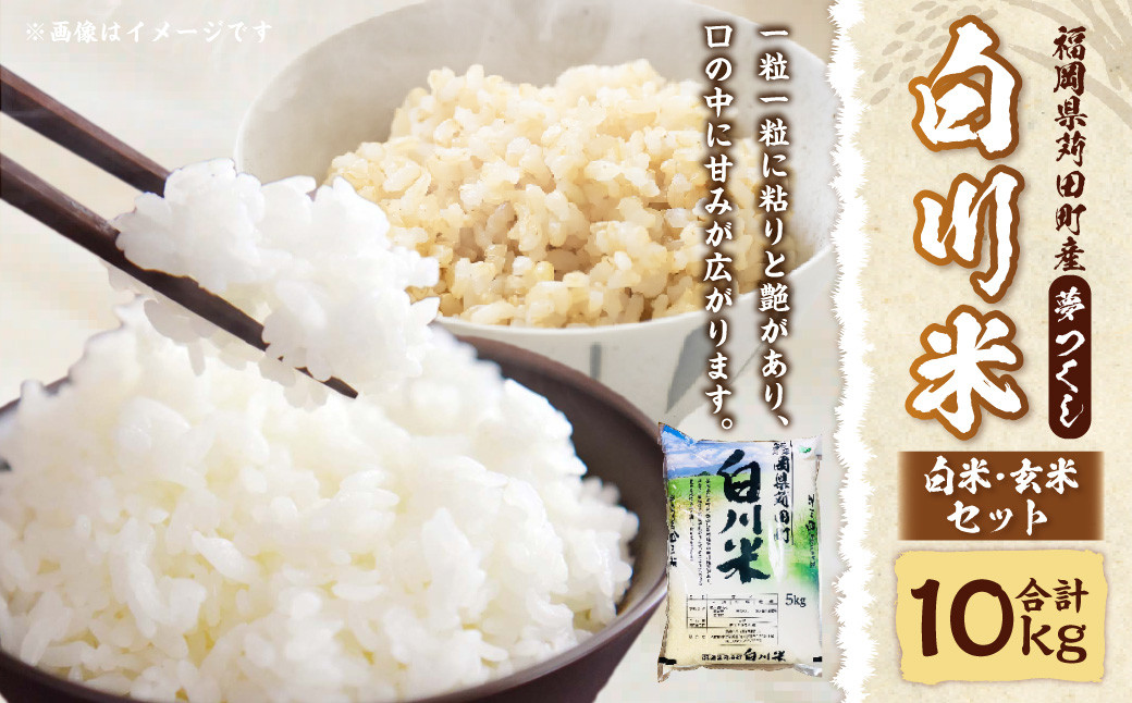 白川米(夢つくし) 白米・玄米セット 合計10kg お米 玄米 白米 精米