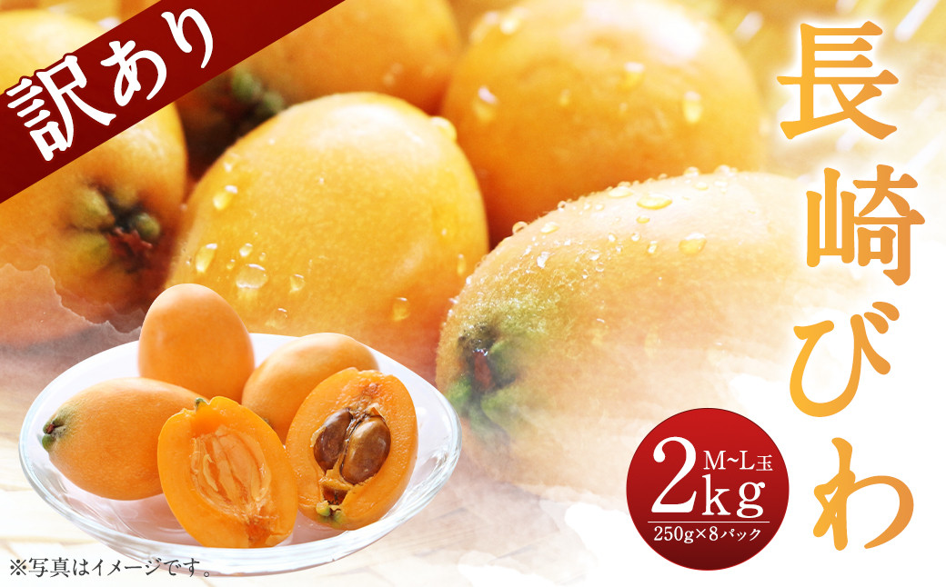 【傷ありのため訳あり】 長崎びわ 2kg（250g×8パック） M～Lサイズ