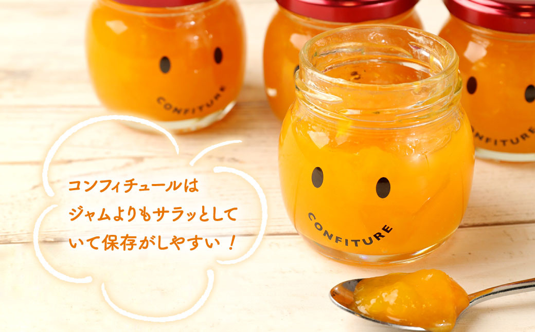 【天城町産】 宝果樹園 マンゴー コンフィチュール 1個 (100g)