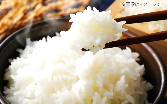こだわりの特別栽培米！ 無洗米 夢しずく 5kg 【定松ファーム】佐賀県産 白米 コメ こめ お米 白米 夢しずく ゆめしずく