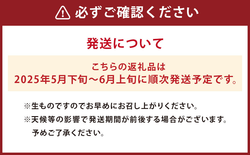 長崎びわ 250g×4パック（計1kg） Lサイズ