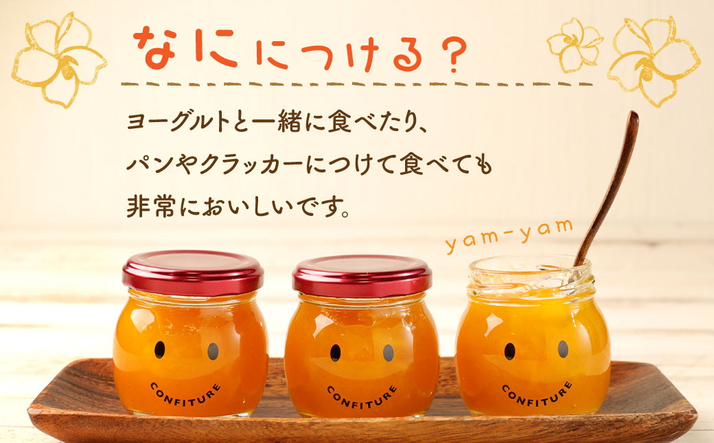 【天城町産】 宝果樹園 マンゴー コンフィチュール 1個 (100g)