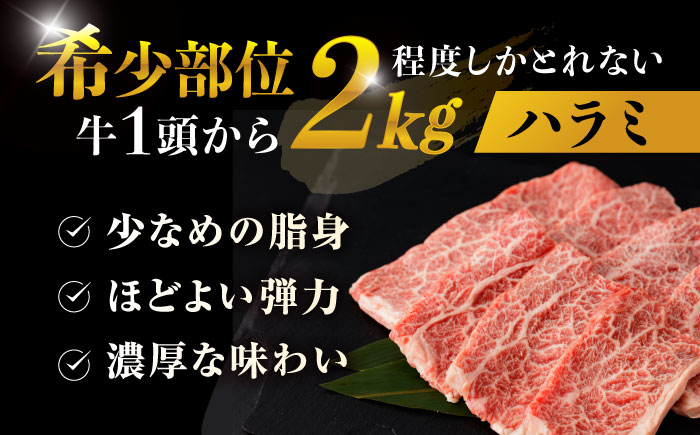 希少 長崎和牛 牛肉 ぎゅうにく 和牛 わぎゅう 国産 肉 にく 牛 焼肉 焼き肉 やきにく ハラミ はらみ BBQ アウトドア