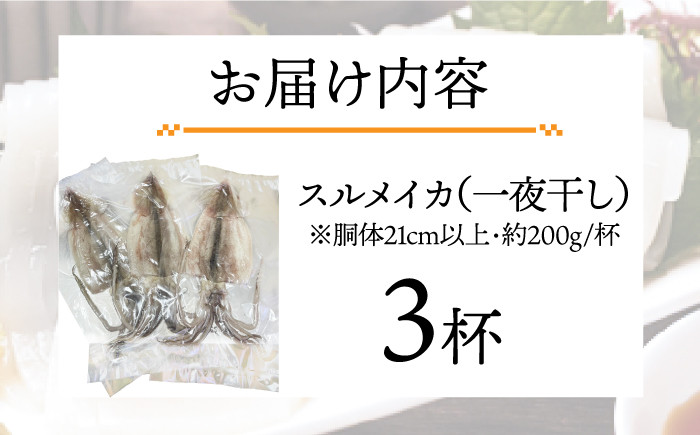 いか イカ 烏賊 スルメイカ おつまみ ツマミ 酒のあて おやつ 魚介 海鮮 海