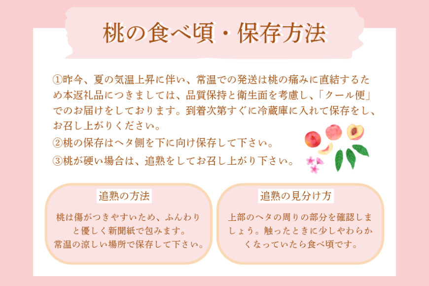 桃 2kg （5～6玉）