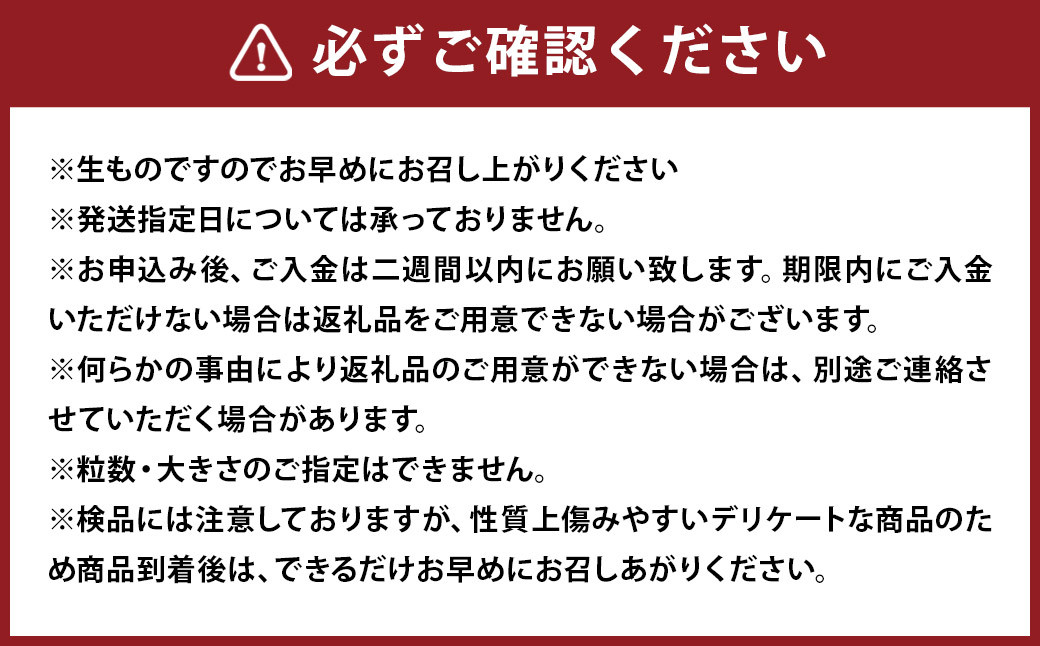 【傷ありのため訳あり】 長崎びわ 2kg（250g×8パック） M～Lサイズ