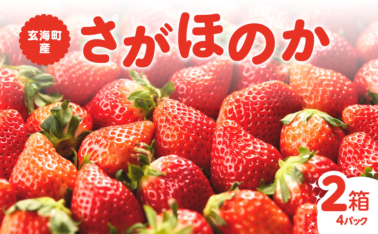 〈予約受付〉平川いちご農園 佐賀県玄海町産さがほのか 2箱4パック（1月～4月にお届け）
