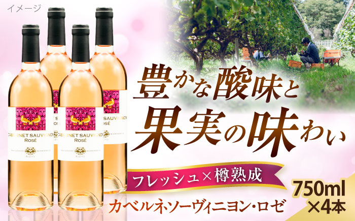 ワイン お酒 国産 セット  熟成 酒 ギフト ロゼボトル 果実酒 奥出雲