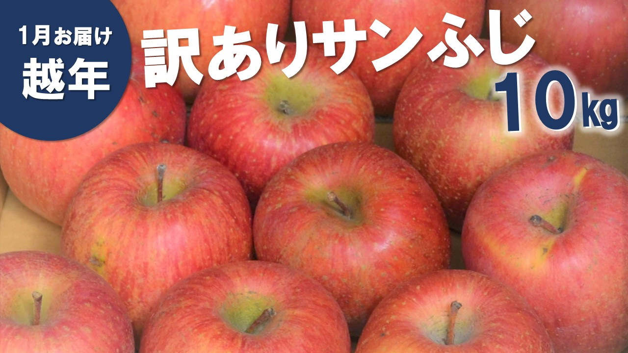 越年自家用サンふじ 10kg　※翌年1月中旬頃～配送予定です。