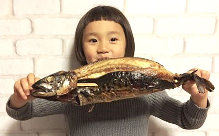 島根県雲南市の郷土の味！ 焼さば押し寿し 焼さば 寿し 寿司 さば 押し寿司