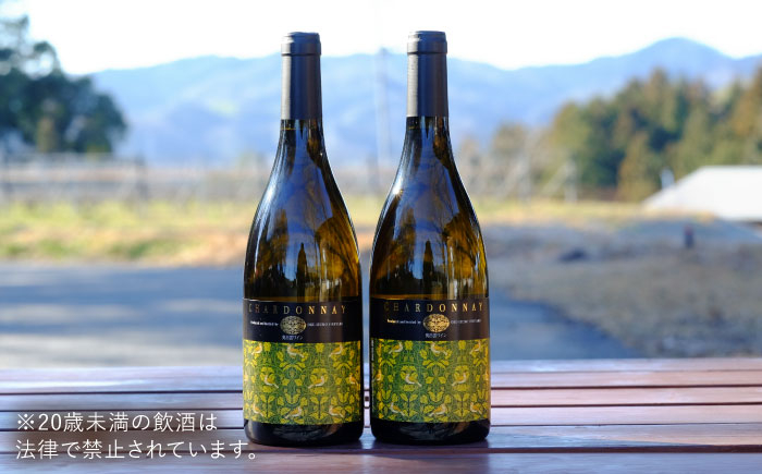 ワイン お酒 国産 セット  熟成 酒 ギフト 白 白ワイン 辛口 果実酒