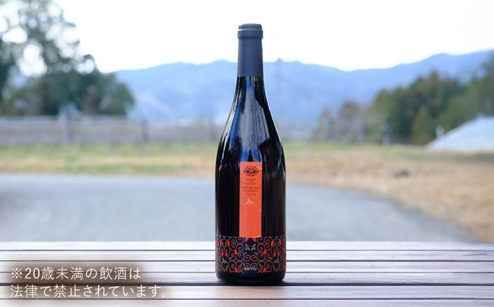 ワイン お酒 ギフト 国産 熟成ワイン 熟成 赤ワイン 辛口 果実酒 セット