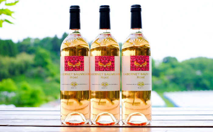 ワイン お酒 国産 セット  熟成 酒 ギフト ロゼボトル 果実酒 奥出雲