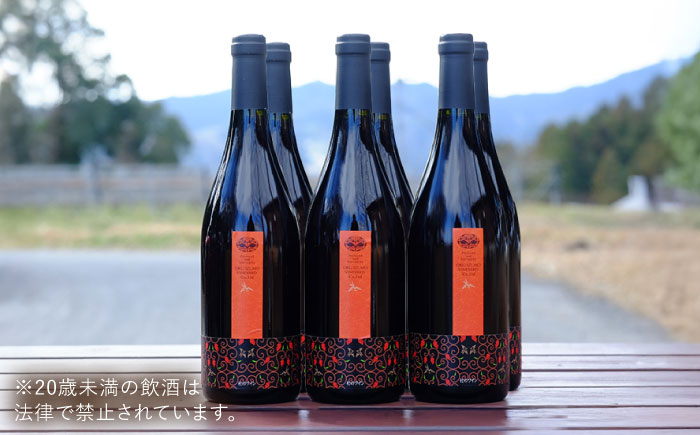 ワイン お酒 ギフト 国産 熟成ワイン 熟成 赤ワイン 辛口 果実酒 セット