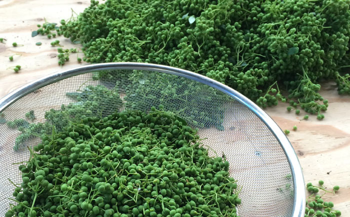 おつまみ ごはんのお供 贈答用 セット 美味しい 佃煮 のり みそ おすすめ