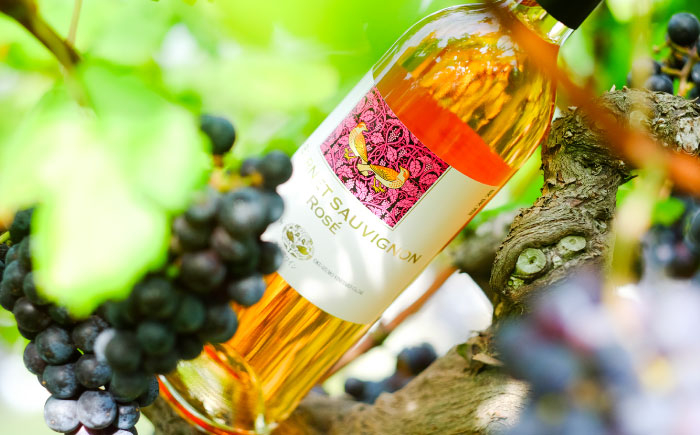 ワイン お酒 国産 セット  熟成 酒 ギフト ロゼボトル 果実酒 奥出雲