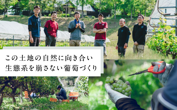 ぶどうジュース ぶどう ブドウ 葡萄 セット ストレートジュース 国産 奥出雲