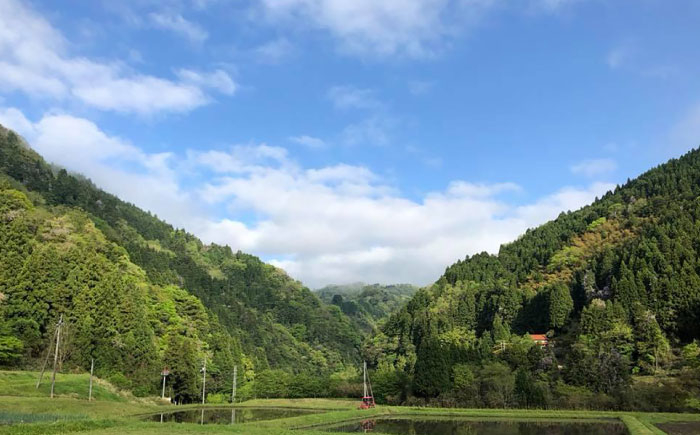 焼肉のたれ 焼肉 たれ 中辛 甘口 吉田ふるさと村 調味料 食品 美味しい 