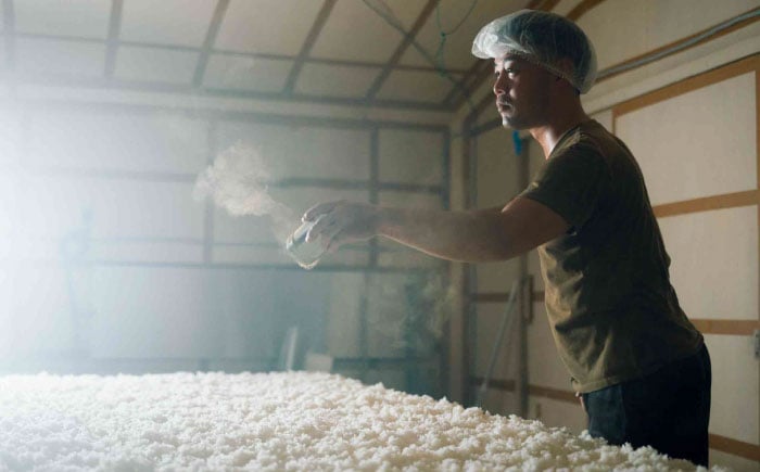 日本酒 飲み比べ セット 純米吟醸 地酒 ギフト SAKE 島根県 雲南市