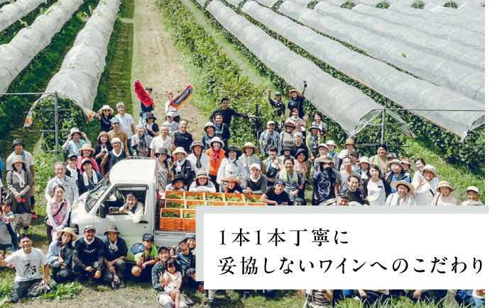 ぶどうジュース ぶどう ブドウ 葡萄 セット ストレートジュース 国産 奥出雲