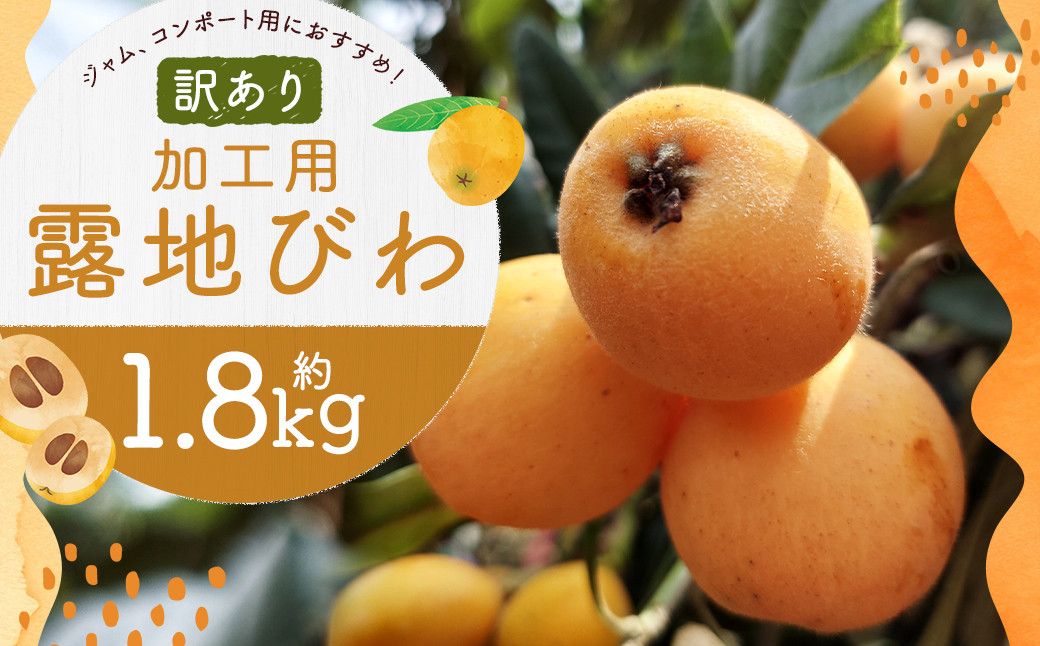 【訳あり】 選果落ち 加工用 露地びわ 約1.8kg ジャム用 コンポート用