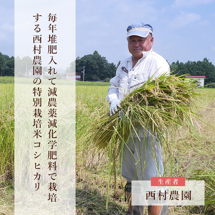 【西村農園のお米】新米予約 米 コシヒカリ 5kg　【09029】