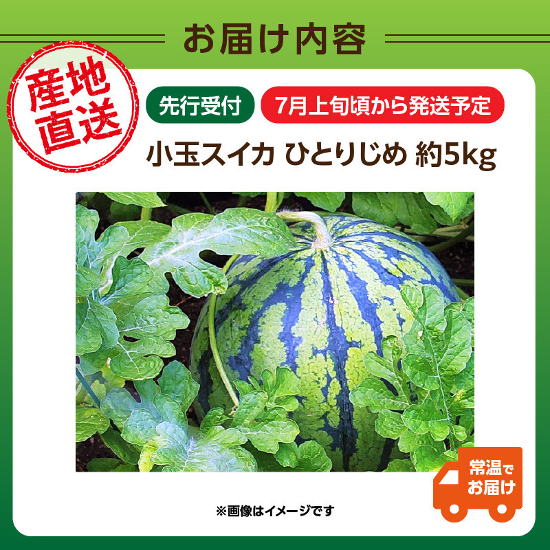 《先行受付》小玉スイカ ひとりじめ 約5kg【2025年7月上旬頃～発送予定】【山形県産 西瓜】