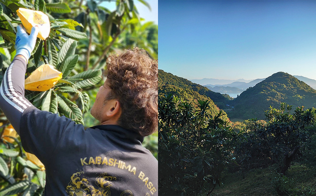 長崎県産 露地びわM 16玉入り 1玉約35g