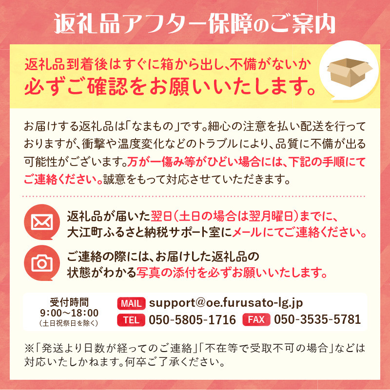 《先行受付》小玉スイカ ひとりじめ 約5kg【2025年7月上旬頃～発送予定】【山形県産 西瓜】