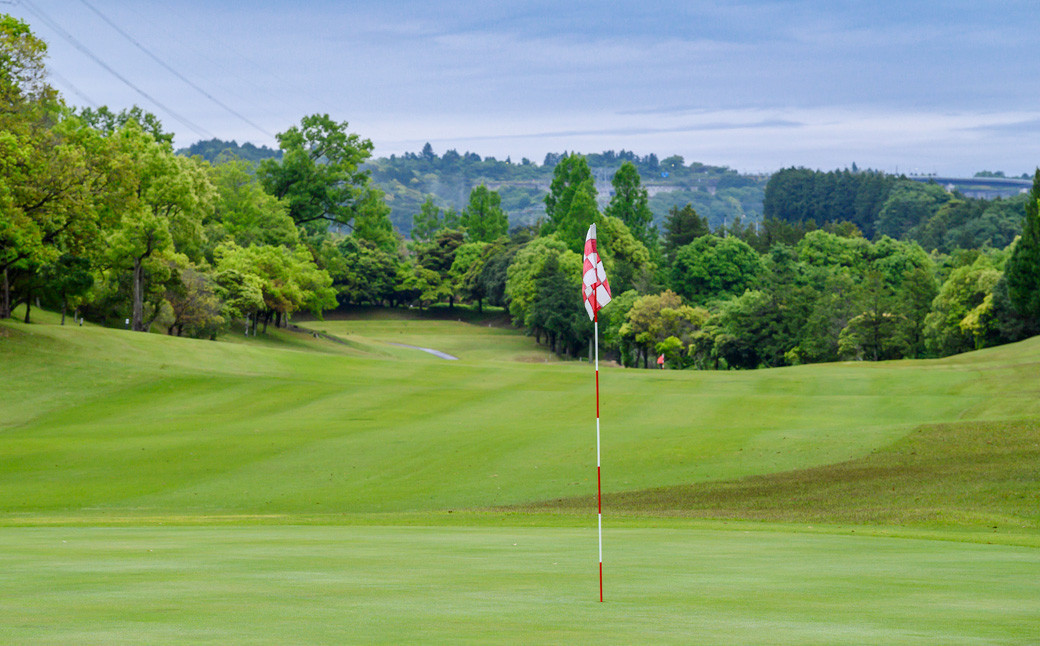 ホロンゴルフ倶楽部 プレー割引券【ゴルフ場】(15,000円相当)