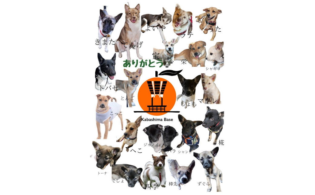長崎県産 露地びわM 16玉入り 1玉約35g