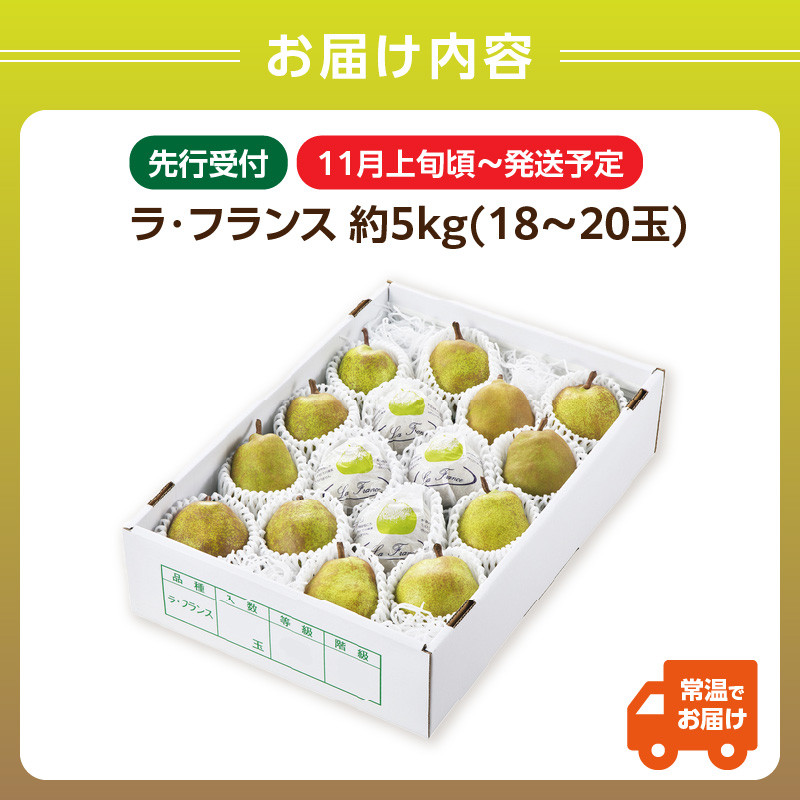 《先行受付》ラ・フランス 約5kg（18～20玉） 【2025年11月上旬頃～発送予定】【山形洋梨】