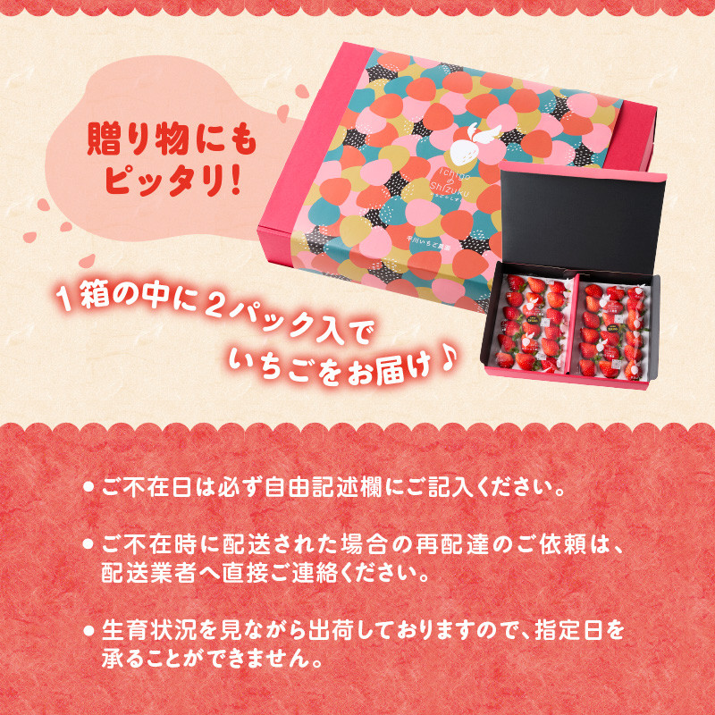 〈予約受付〉平川いちご農園 佐賀県玄海町産さがほのか 2箱4パック（1月～4月にお届け）