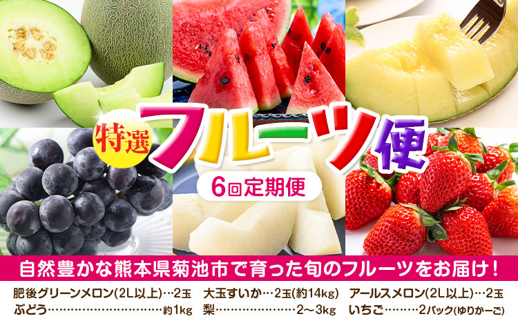 【定期便6回】特選フルーツ便(メロン・すいか・ぶどう・梨・いちご)【メロンドーム】