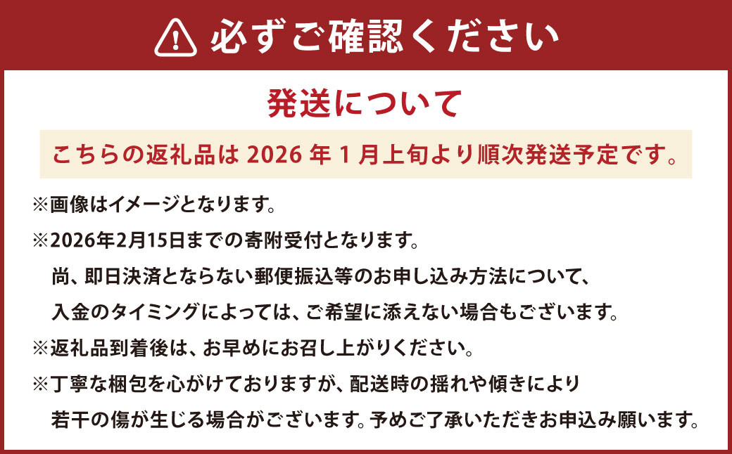 熊本県産 デコポン （4玉）・完熟みかん （1.5kg） セット