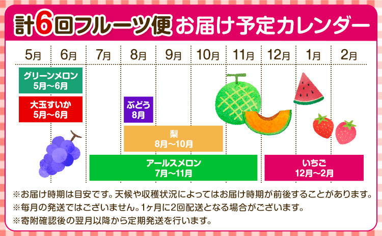 【定期便6回】特選フルーツ便(メロン・すいか・ぶどう・梨・いちご)【メロンドーム】