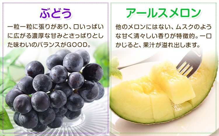【定期便6回】特選フルーツ便(メロン・すいか・ぶどう・梨・いちご)【メロンドーム】