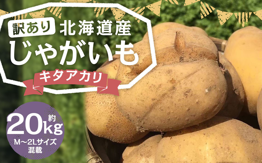 【訳あり】北海道産 じゃがいも キタアカリ M～2Lサイズ混載 約20kg 1箱 山田農場
