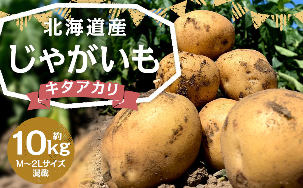 北海道産 じゃがいも キタアカリ M~2Lサイズ混載 約10kg 1箱 山田農場
