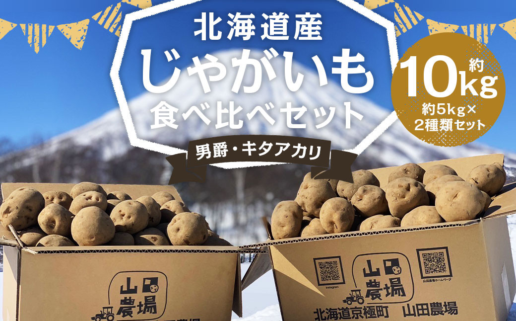 北海道産 じゃがいも 男爵 キタアカリ 食べ比べセット M~2Lサイズ混載 各約5kg 合計約10kg 2箱 山田農場